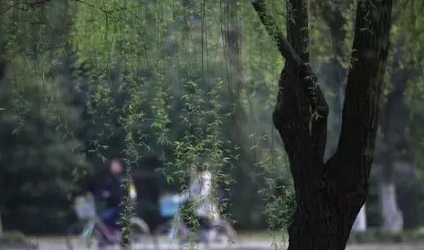 坚持下来的异地恋，是什么样子？