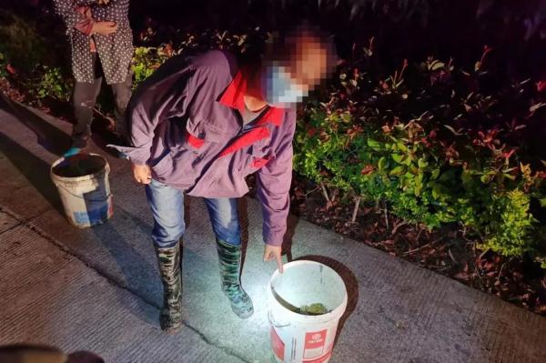 别拿“癞蛤蟆”不当保护动物！