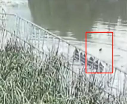 小偷逃跑时跳河溺亡,家属索赔158万?法院判了 小偷逃跑时跳河溺亡,家属索赔158万?法院判了