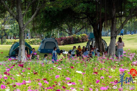 广州拟规定:公园草坪搭帐篷需网上预约,禁飞风筝无人机 广州拟规定:公园草坪搭帐篷需网上预约,禁飞风筝无人机