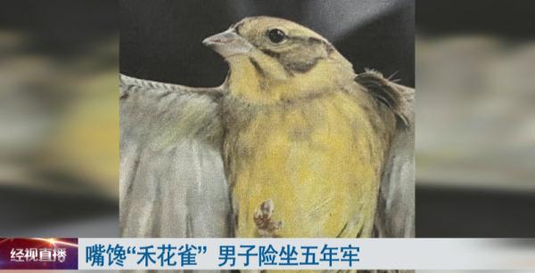 拍到了！这个极度濒危物种，罕见现身江西