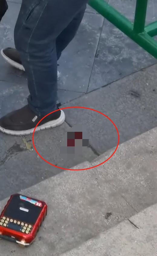 河北承德一男子占道卖宠物当着城管的面暴力摔猫官方回应