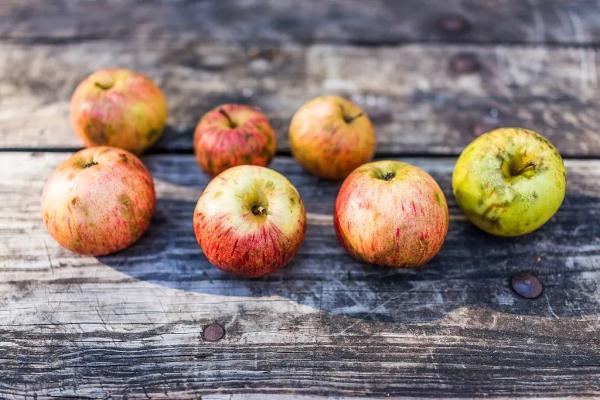 又到水果旺季,注意!这样的水果,千万别吃…… 又到水果旺季,注意!这样的水果,千万别吃……