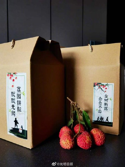 深圳大学荔枝熟了