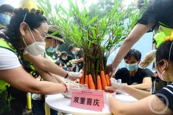 组团卖萌，重庆动物园六只“滚滚”集体过生日