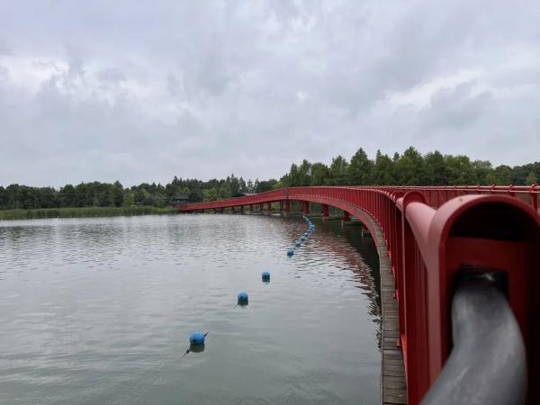 上海迪士尼部分恢复运营，游客冒雨排队进商店，不少人买了星黛露