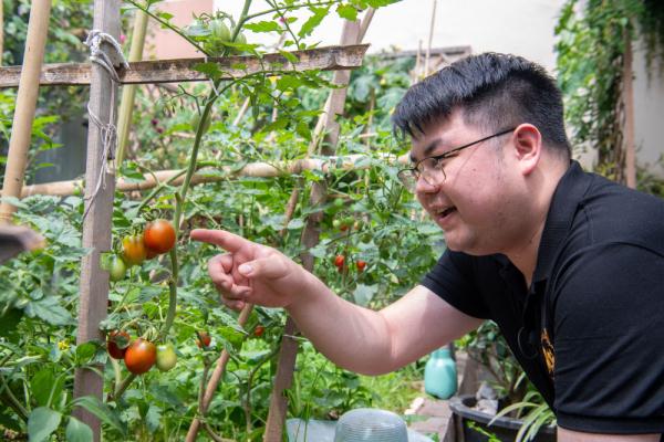 农耕基因觉醒！都市青年兴起阳台种菜热