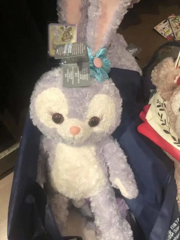 迪士尼世界商店开门，有人冒雨6点就来排队了！星黛露最抢手→