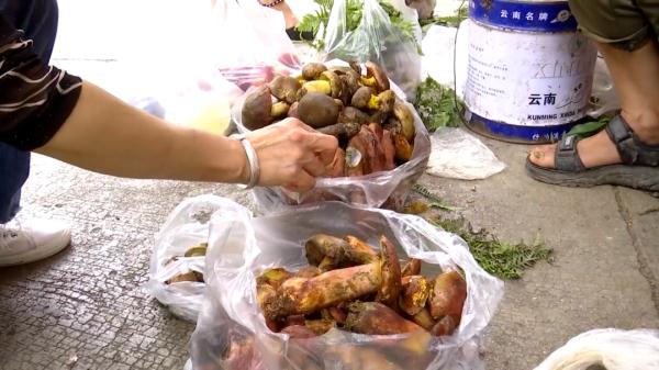 看见烟花、彩虹？医院陆续接诊菌中毒患者，医生建议......