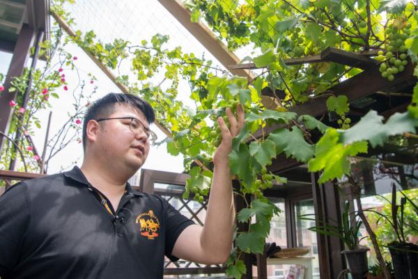 农耕基因觉醒！都市青年兴起阳台种菜热