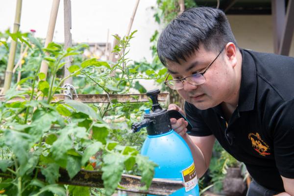 农耕基因觉醒！都市青年兴起阳台种菜热