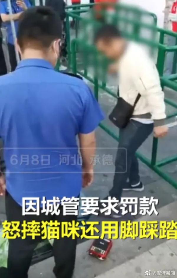 丧心病狂！疑因不满城管制止，男子当街踩死所售猫咪