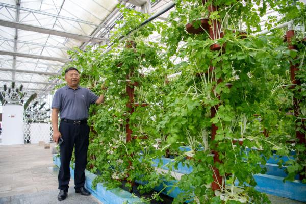 农耕基因觉醒！都市青年兴起阳台种菜热