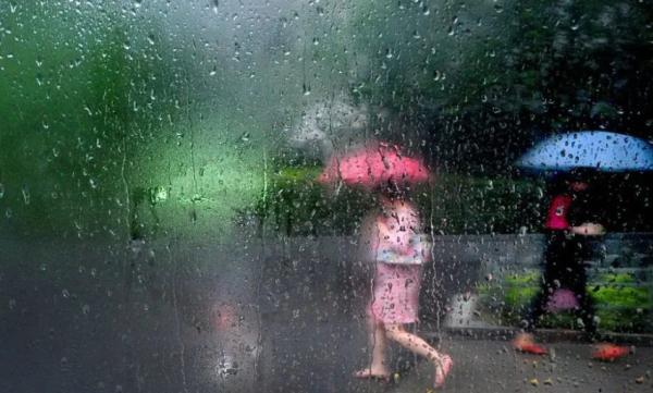 上海入梅啦! 上海入梅啦!