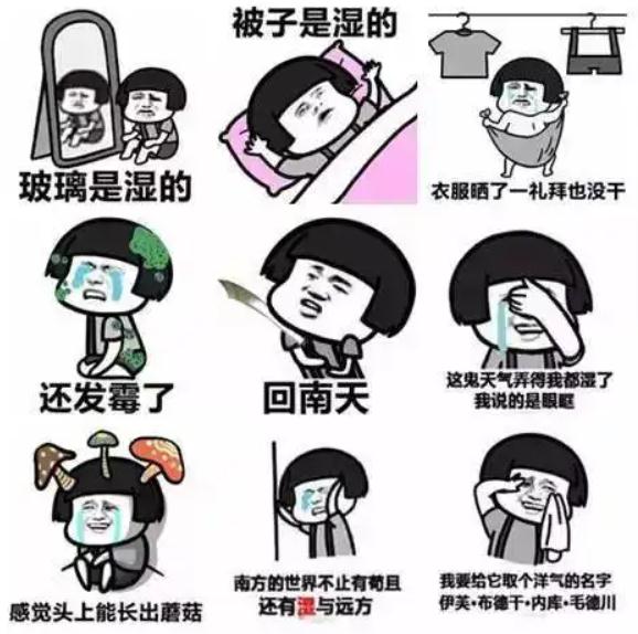 上海入梅啦! 上海入梅啦!