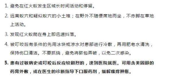 野外露营防虫小提示