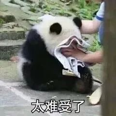 中到大雨+暴雨！河北雷电、大风双预警齐发！