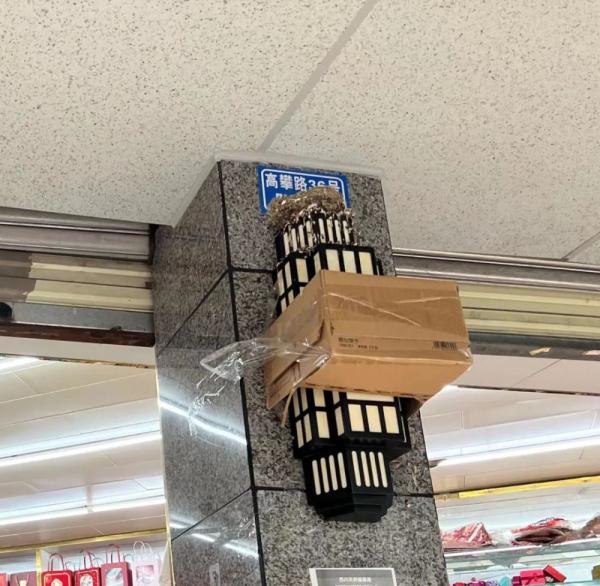 成都:燕子,归去来兮! 成都:燕子,归去来兮!