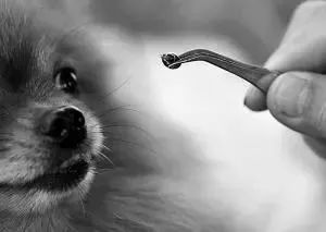 高度警惕！江苏疾控发布重要提醒