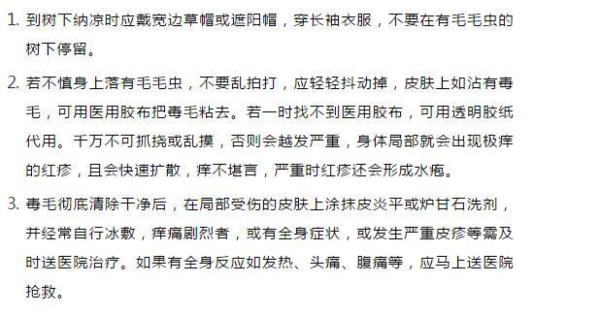 野外露营防虫小提示