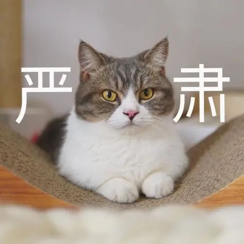 好笑又惊悚!女子吃隔夜野生菌后出现幻觉:一直扯“线” 好笑又惊悚!女子吃隔夜野生菌后出现幻觉:一直扯“线”