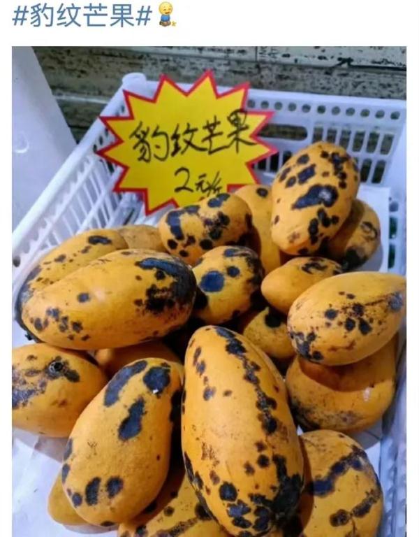 注意！这种“豹纹芒果”要慎食