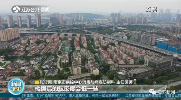 蚊子包越大毒性越强？真相其实是……