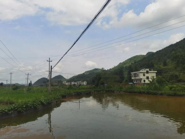 湖南男子高压线下钓鱼触电身亡,谁负责?法院这样判 湖南男子高压线下钓鱼触电身亡,谁负责?法院这样判