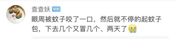 包越大越毒？这些关于蚊子的传说都当真？