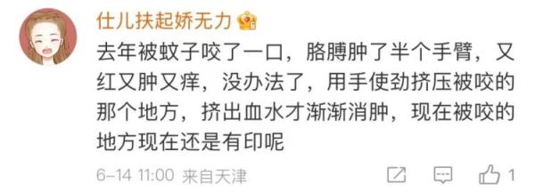 包越大越毒？这些关于蚊子的传说都当真？