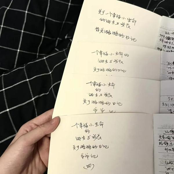 一场大病后，爷爷交给孙女4本日记……