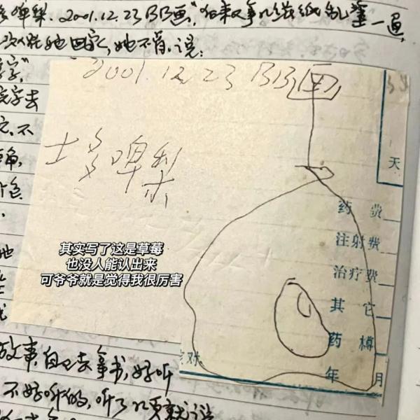 一场大病后，爷爷交给孙女4本日记……