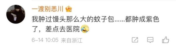 包越大越毒？这些关于蚊子的传说都当真？