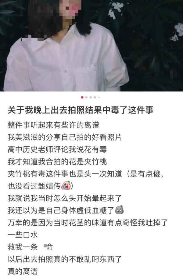 女孩含着它拍照后中毒！这种花深圳路边很常见…