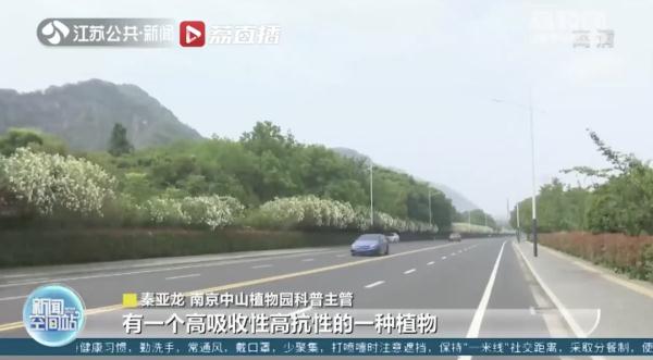 紧急提醒!这种植物有毒 网友:《甄嬛传》早有“科普” 紧急提醒!这种植物有毒 网友:《甄嬛传》早有“科普”