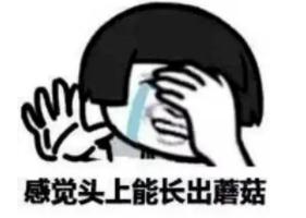 崩溃！福州近期多发！好多人家里出现了！