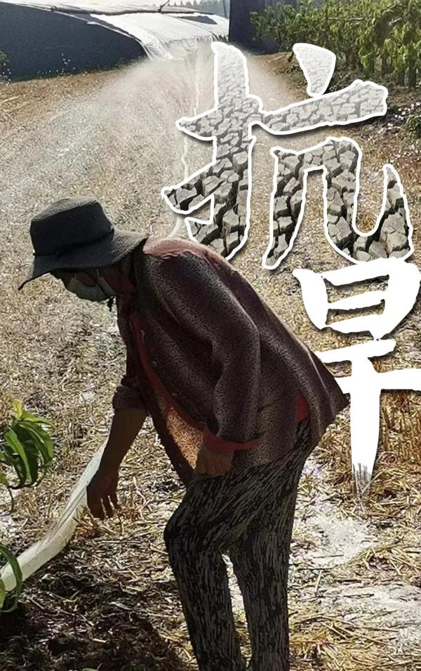 一顿操作，下了2664万吨雨，专家详解皖北旱情