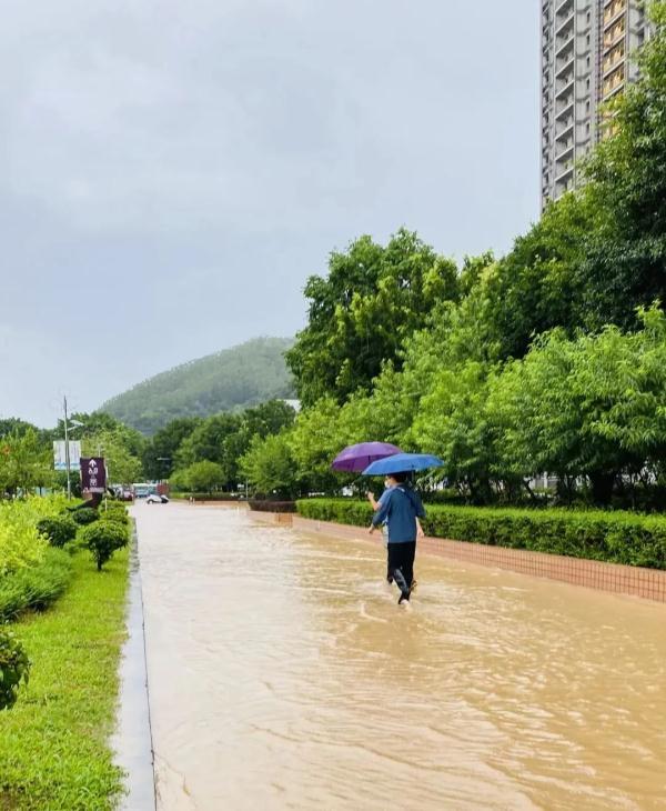 暴雨致部分乡镇遇洪涝 梧州启动Ⅲ级防洪应急响应