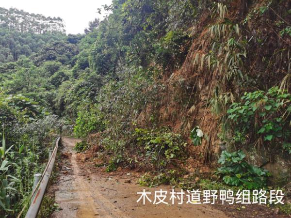 暴雨致部分乡镇遇洪涝 梧州启动Ⅲ级防洪应急响应