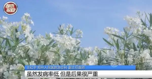 警惕！女孩拍照因一个姿势中毒送医