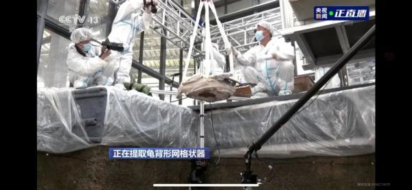 “烧烤架”“手办”……更期待，三星堆能发现文字