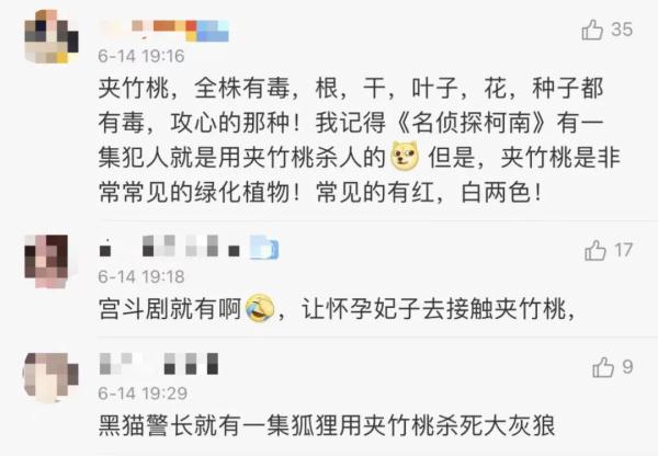 女孩含着它拍照后中毒！这种花深圳路边很常见…