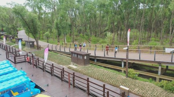 鸟雀翩飞、螃蟹遍地 崇明西沙明珠湖冲刺国家5A级景区