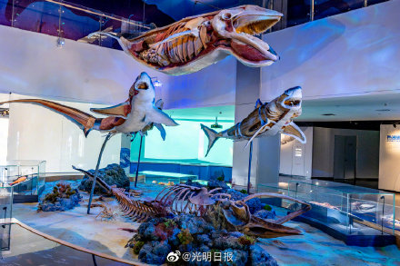 国内首个海洋主题的科技类展馆开放 国内首个海洋主题的科技类展馆开放