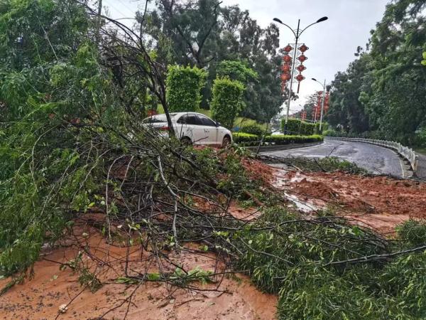 暴雨致部分乡镇遇洪涝 梧州启动Ⅲ级防洪应急响应