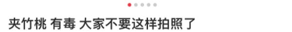 迷人的危险！女孩和这种花合照后中毒，街头随处可见