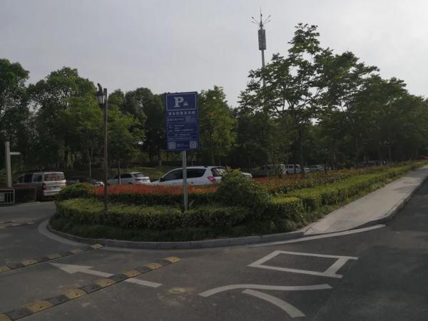 “我的面包车不见了！”原因让人哭笑不得…