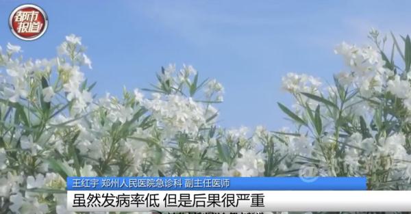 当心！女孩拍照后中毒，“元凶”竟是…很多人中招