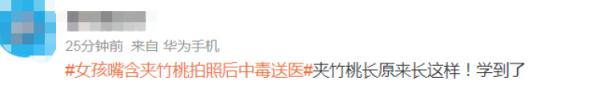 女孩含着它拍照后中毒！别碰，全株有毒