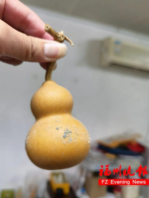 崩溃！福州近期多发！好多人家里出现了！
